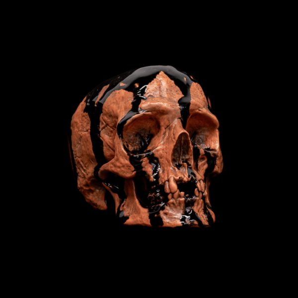 LITTLE HALLOWEEN SKULL - Image 5