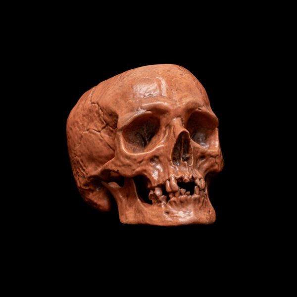 LITTLE HALLOWEEN SKULL - Image 4