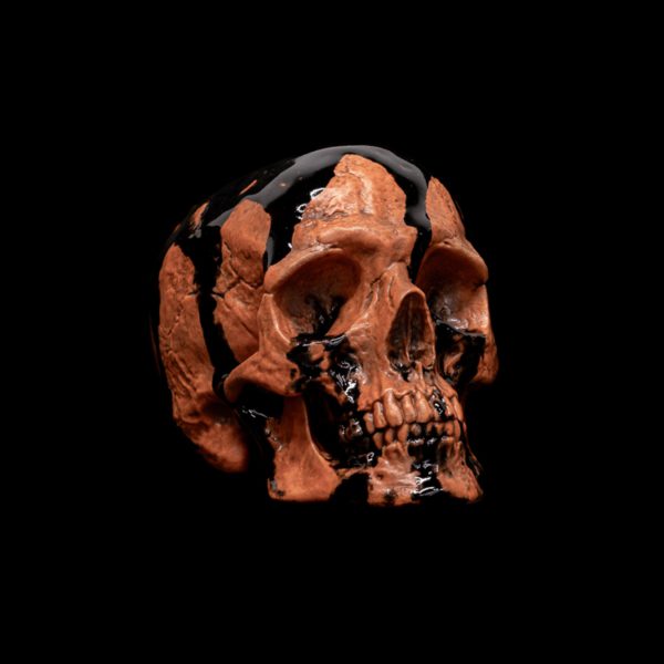 LITTLE HALLOWEEN SKULL - Image 3