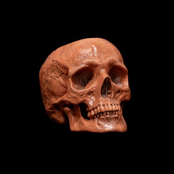 LITTLE HALLOWEEN SKULL - Image 2