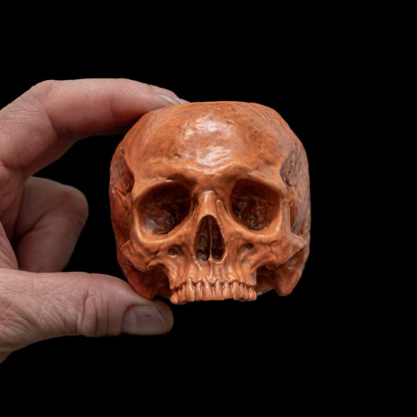 LITTLE HALLOWEEN HALF SKULL