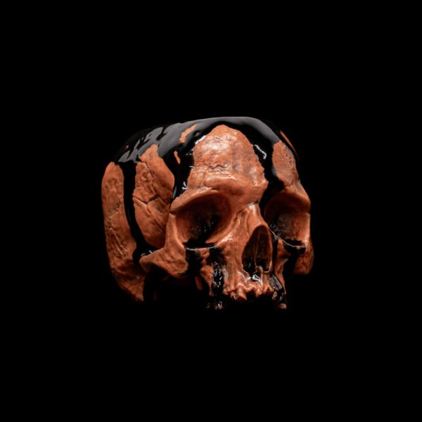 LITTLE HALLOWEEN HALF SKULL - Image 4
