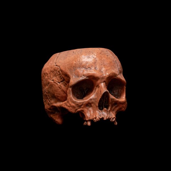LITTLE HALLOWEEN HALF SKULL - Image 2