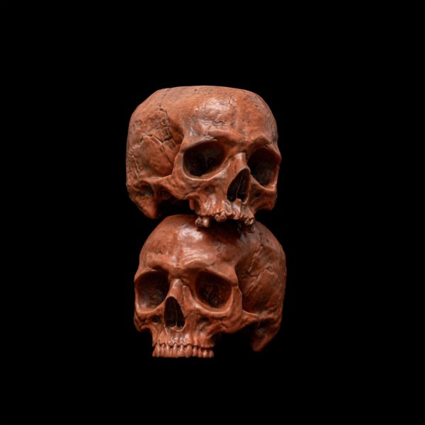 HALLOWEEN HALF SKULL BOWL - Image 9