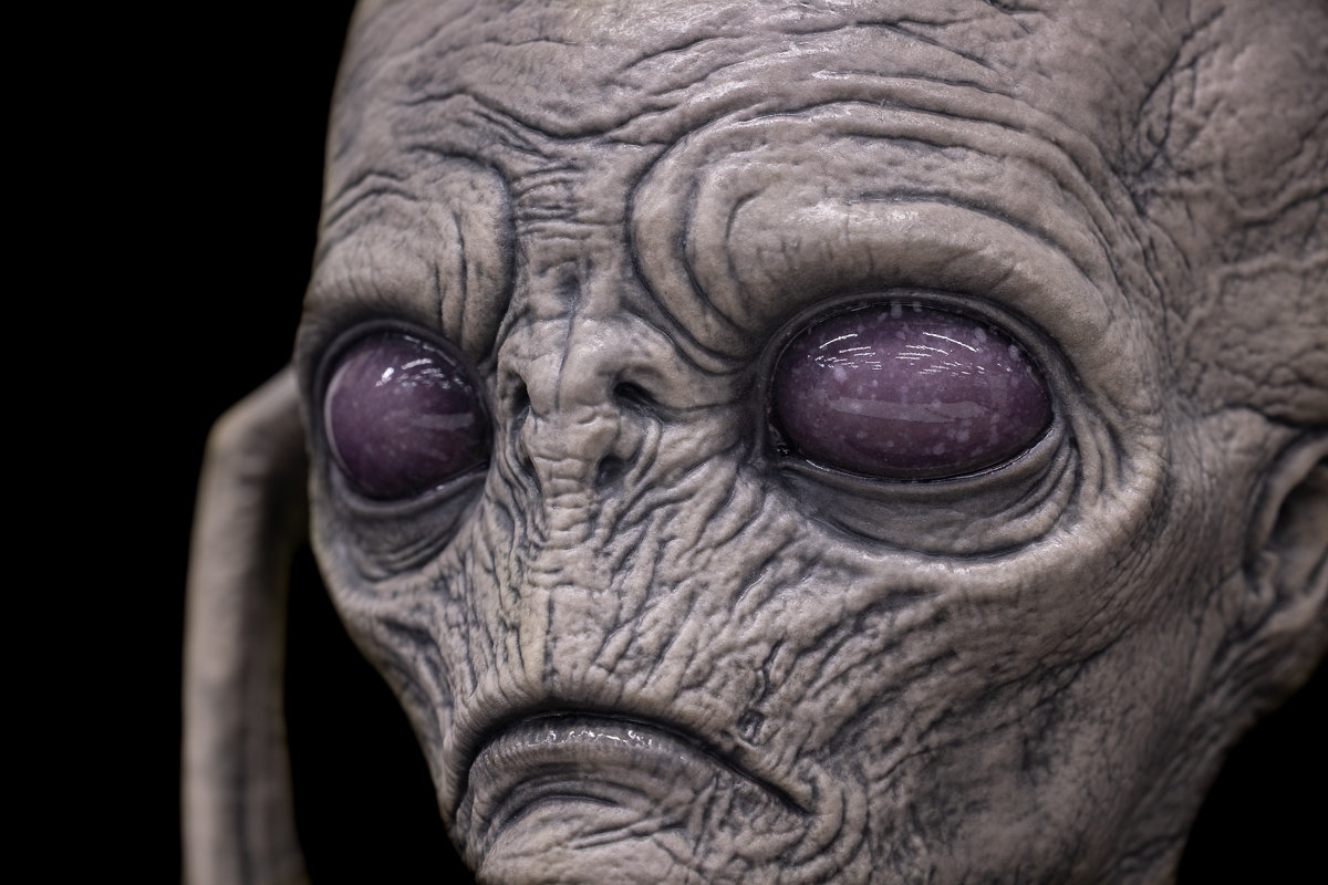 TRAVELER PROTO - Image 5