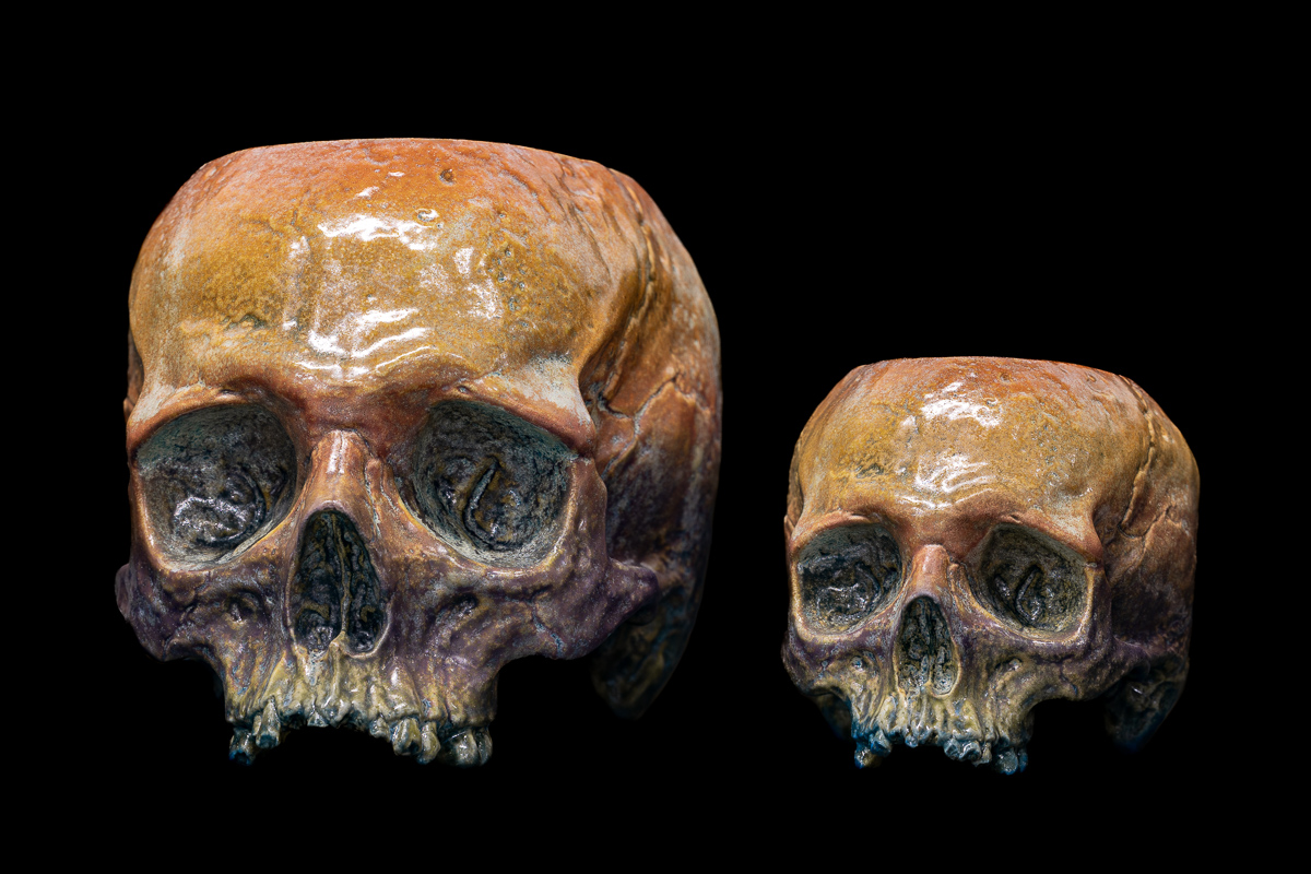 MINI SUNFIRE HALF SKULL - Image 3