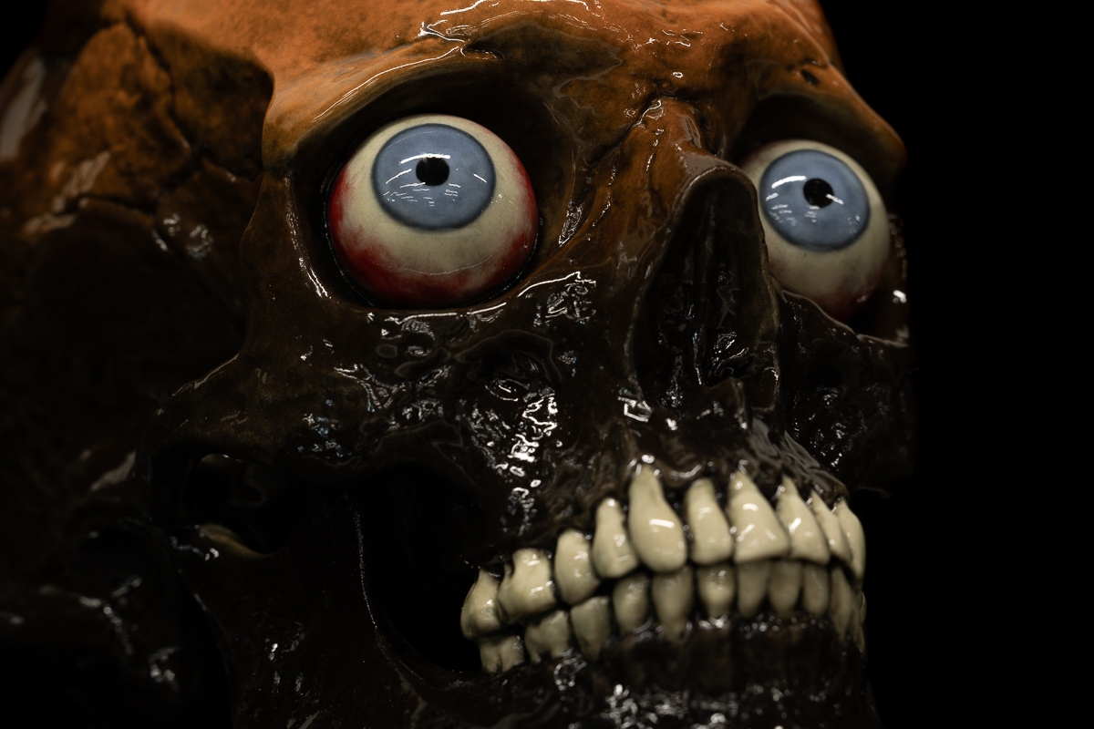 TARMAN SKULL - Image 4